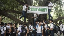 save aarey