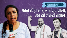 bhasha singh