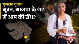 bhasha singh