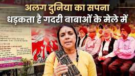 Bhasha Singh