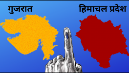 election