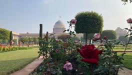Mughal Garden