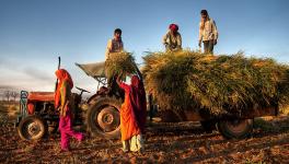 Farmers