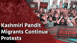Kashmiri Pandits 