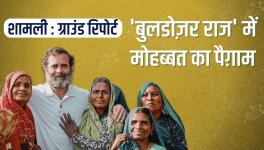 bharat jodo yatra