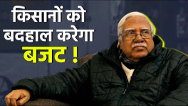 Hannan Mollah