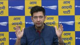 Raghav Chaddha