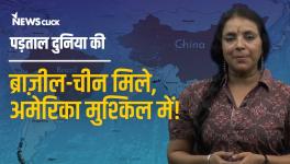bhasha singh