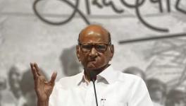 Sharad Pawar 