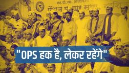NPS