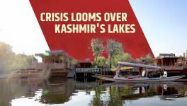 Kashmir
