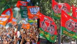 Political Image 