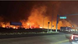 Wildfire 