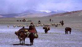 Nomadic 
