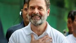 Rahul