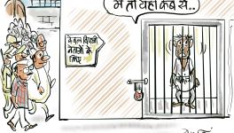 Cartoon