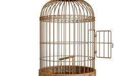 cage