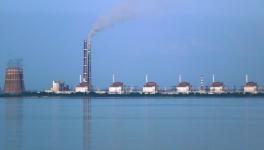nuclear sector