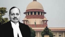 CJI SC